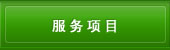服务项目