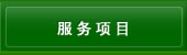 服务项目