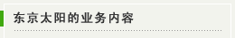 东京太阳的业务内容