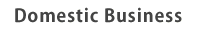 Domestic Business